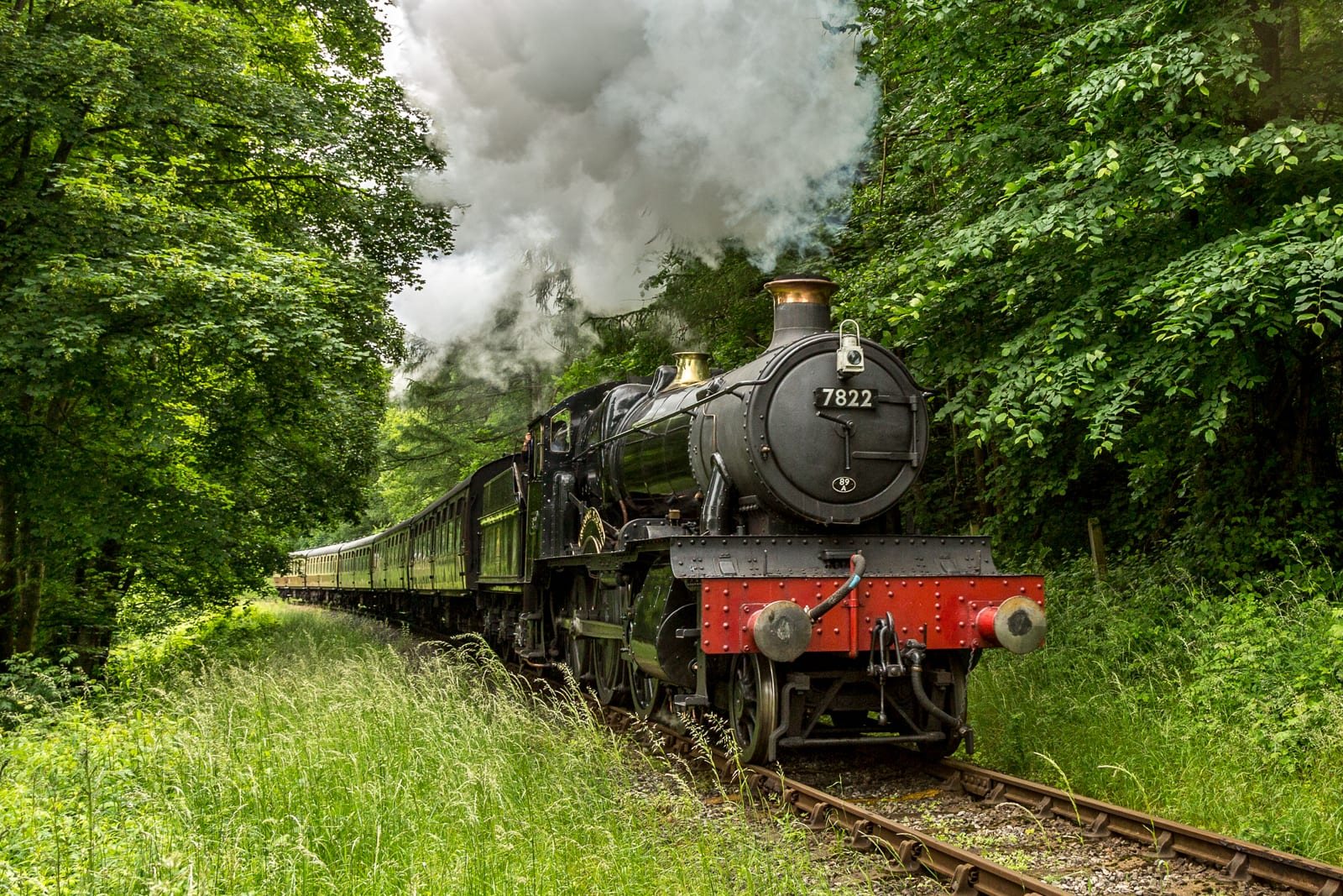 Foxcote Manor approaching Berwyn Tunnel through woodland